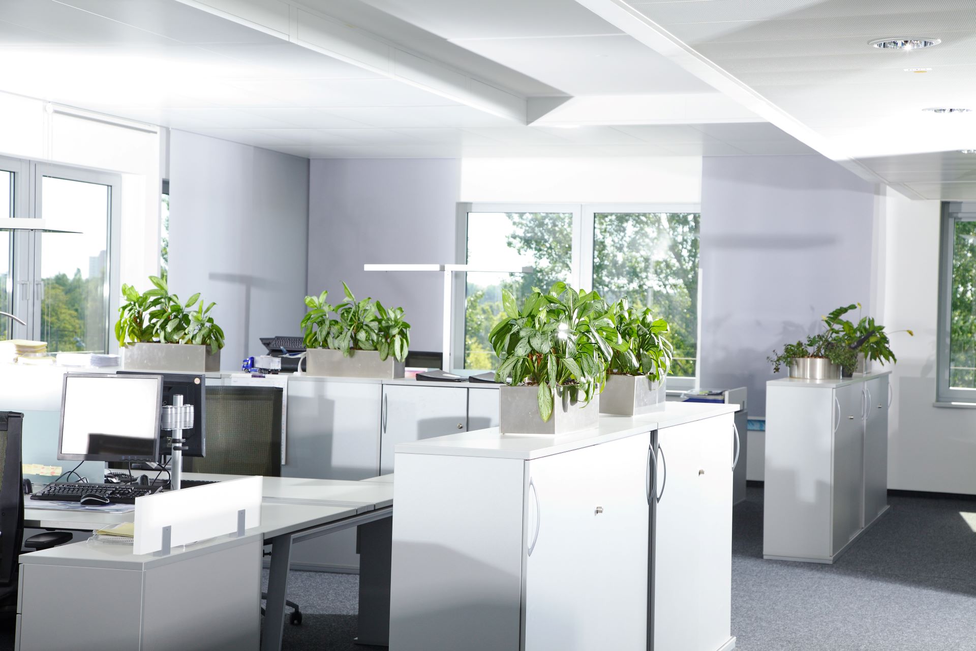 Resume Writing Services Bonbeach VIC